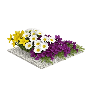 Crisp Spring Blooms