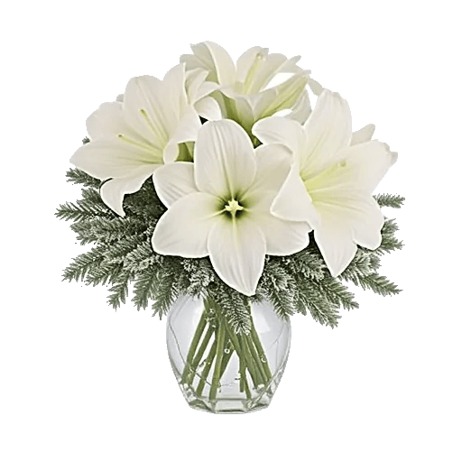 Ivory Blossom Radiance