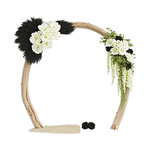 Modern White Orchids