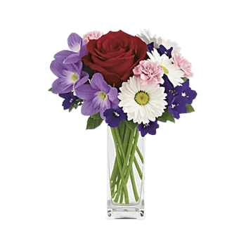 Crimson Blossom Harmony