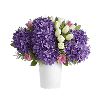 Ivory Blossom Radiance