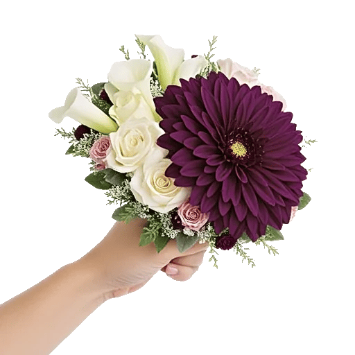 Elegant Calla Lilies