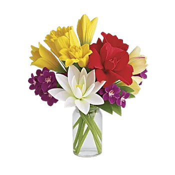 Ivory Blossom Radiance