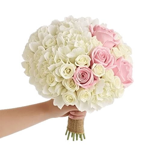 Ivory Blossom Radiance