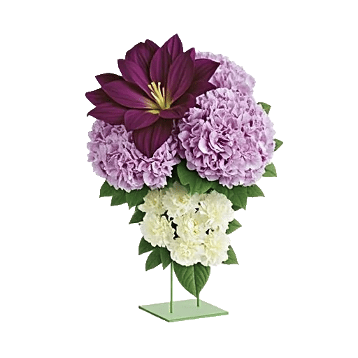 Ivory Blossom Radiance