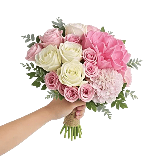 Pink Pastel Roses