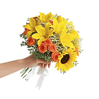 Blossom Harmony Display