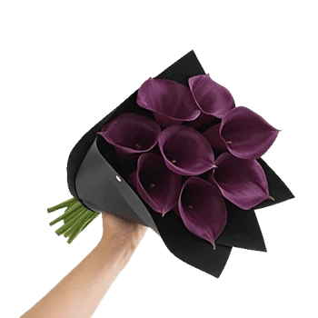 Elegant Calla Lilies