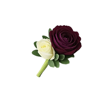 Delicate Petal Cascade