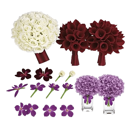 Elegant Calla Lilies