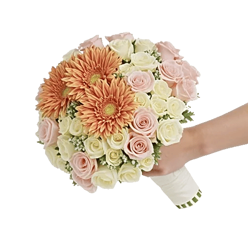 Blushing Rose Symphony