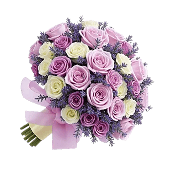 Rosemary Bloom Elegance