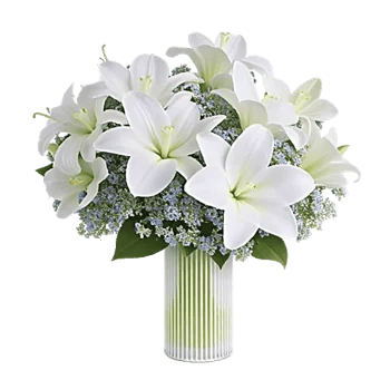Minimalist White Orchids