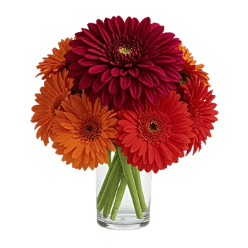 Crimson Blossom Harmony