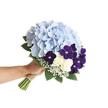 Sapphire Bloom Whisper