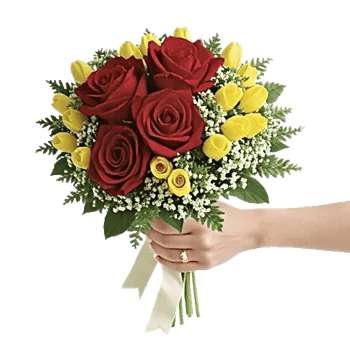 Crimson Rose Elegance