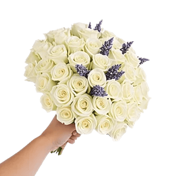 Ivory Garden Grace