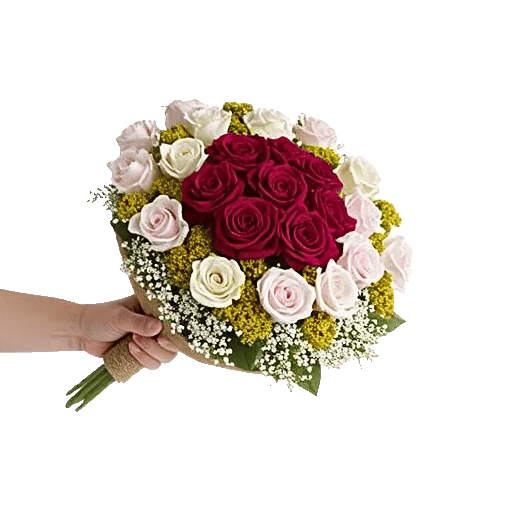 Crimson Rose Elegance