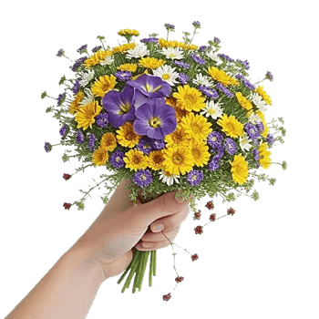 Blossom Petal Serenity