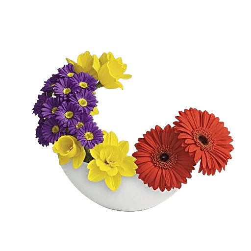 Petal Radiance Bliss