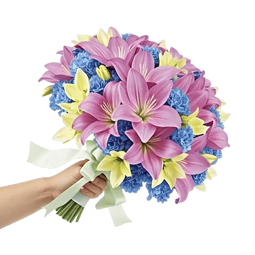 Blushing Rose Symphony