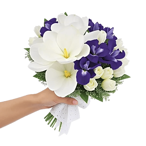 Ivory Blossom Radiance