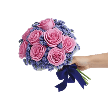 Pink Pastel Roses