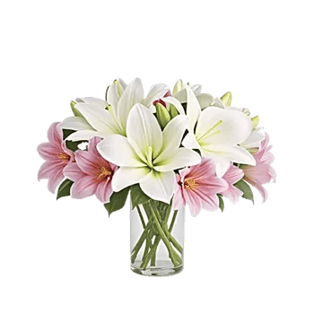 Graceful Lily Display