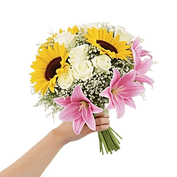Twinkling Sunflower Dance