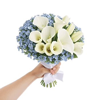 Blossom Petal Serenity