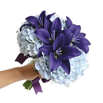 Serene Petal Harmony