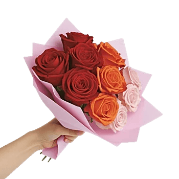 Crimson Rose Elegance