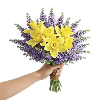 Blossom Harmony Display