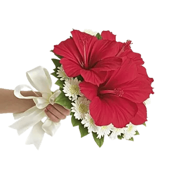 Crimson Rose Elegance