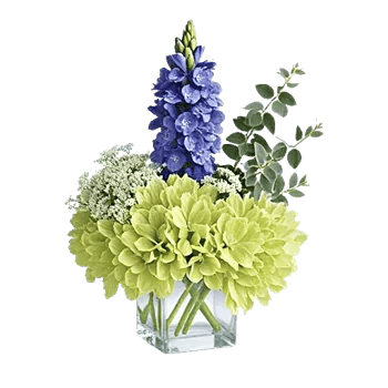 Sapphire Bloom Whisper