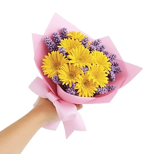 Blossom Harmony Display