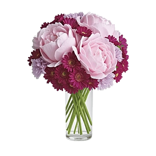 Peony Petal Harmony