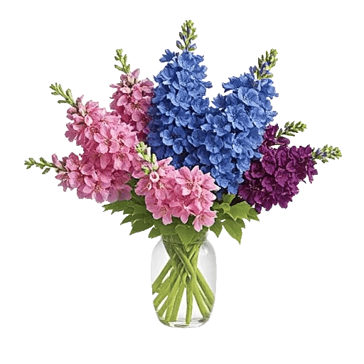 Lavender Bloom Grace