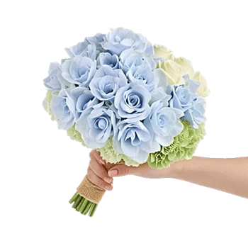 Serene Petal Harmony