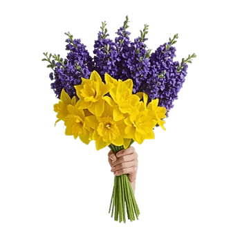 Blossom Harmony Display