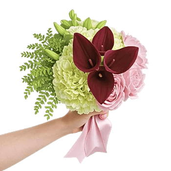 Elegant Calla Lilies