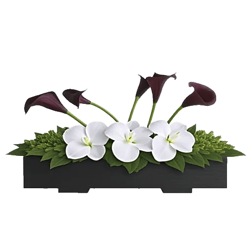 Modern White Orchids