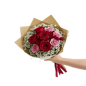 Crimson Rose Elegance