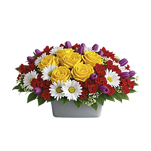 Petal Radiance Bliss