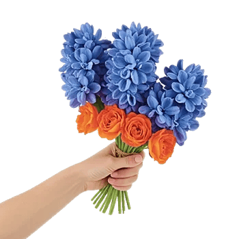 Serenity Blossom Grace