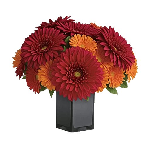 Crimson Blossom Harmony