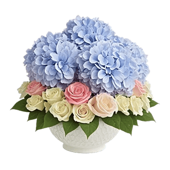 Serene Garden Harmony