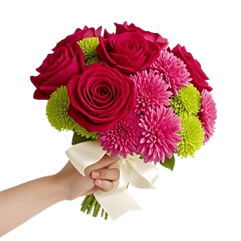 Crimson Rose Elegance