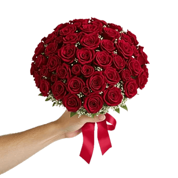 Crimson Rose Elegance