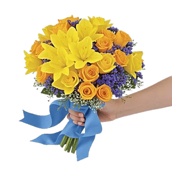 Soft Sunlight Blooms